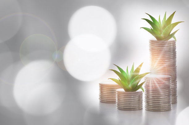 储蓄与投资回报理念和可持续经济增长理念图片下载