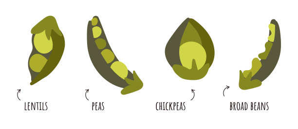 搭配豆类、鹰嘴豆、豌豆等图片下载