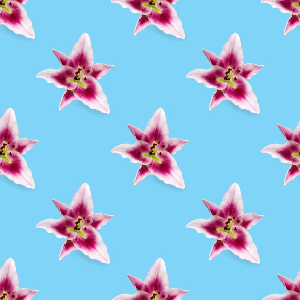 无缝图案的百合花盛开。百合花在蓝色背景无缝纹理。平铺花图案图片下载