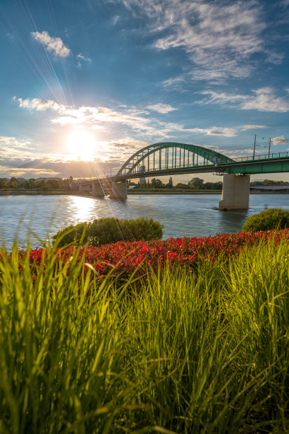 垂直拍摄的有轨电车桥在贝尔格莱德滨水图片下载