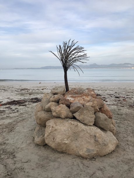 自然界》。马略卡岛帕尔马。西班牙。素材图片