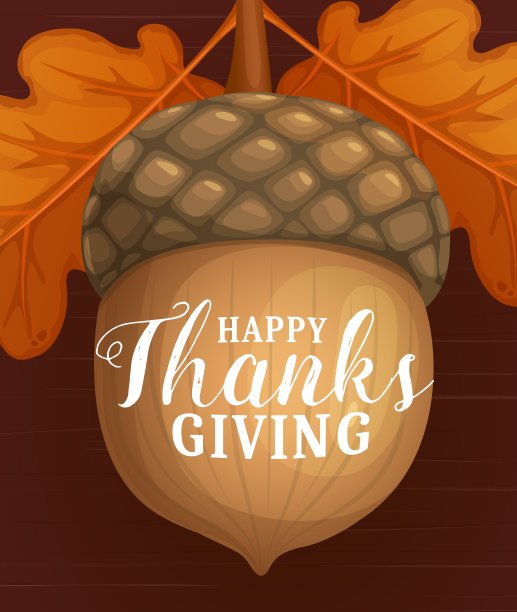 快乐的感恩节矢量海报与橡子图片下载