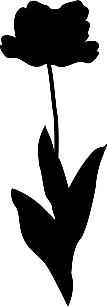 郁金香花的轮廓图片下载