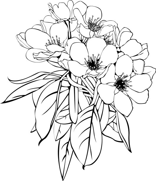 盛开的苹果树图片下载