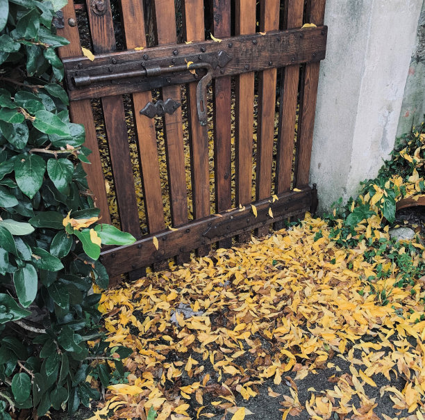 木门紧闭，秋日落幕图片下载