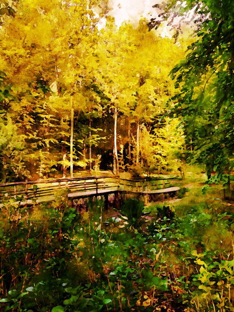 秋季彩色森林和小桥-水彩效果图片下载