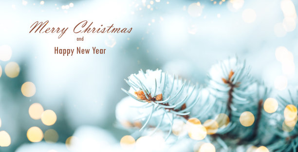 白雪躺在圣诞树的树枝上。图片为写有“圣诞快乐、新年快乐”字样的贺卡。圣诞节的心情。长长的横幅图片下载