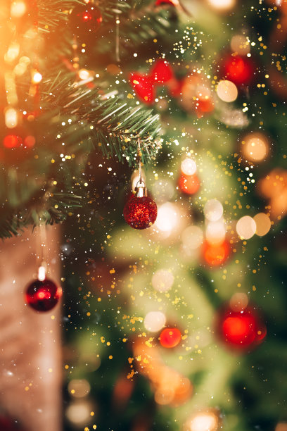 美丽和装饰的圣诞树。圣诞节的心情。这张照片很适合做贺卡图片下载