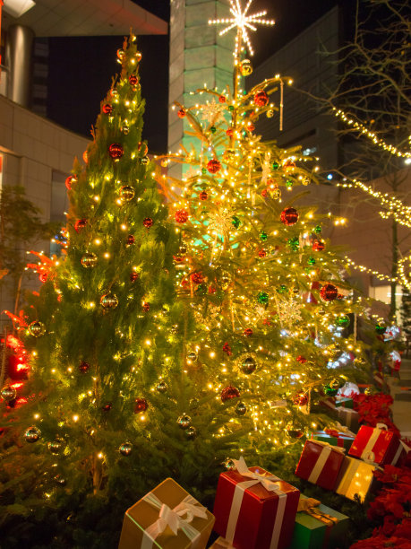 城市的圣诞照明图片下载