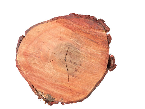 棕色的树桩图片下载