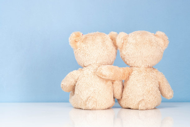 两只泰迪熊坐在蓝色背景的白色桌子上。图片下载