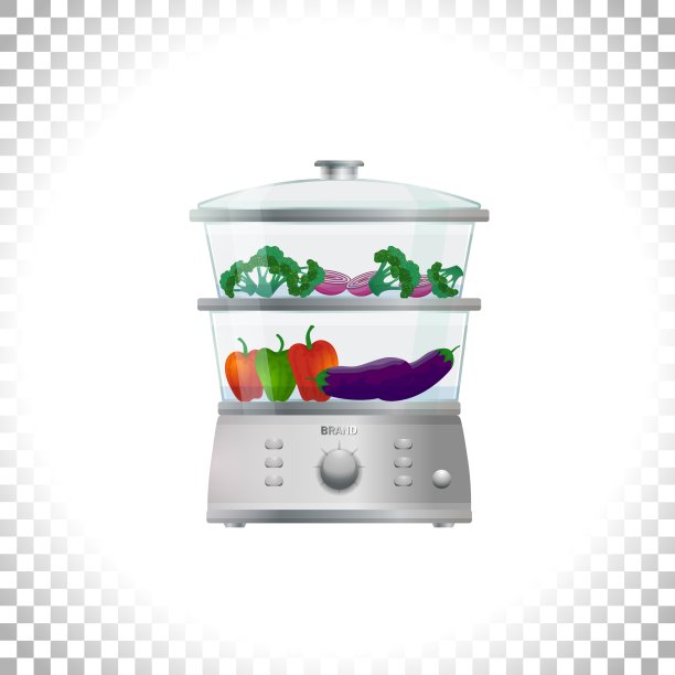 电蒸锅或双锅蔬菜。前视图。家用电器。厨房蒸笼透明背景。矢量插图。图片下载