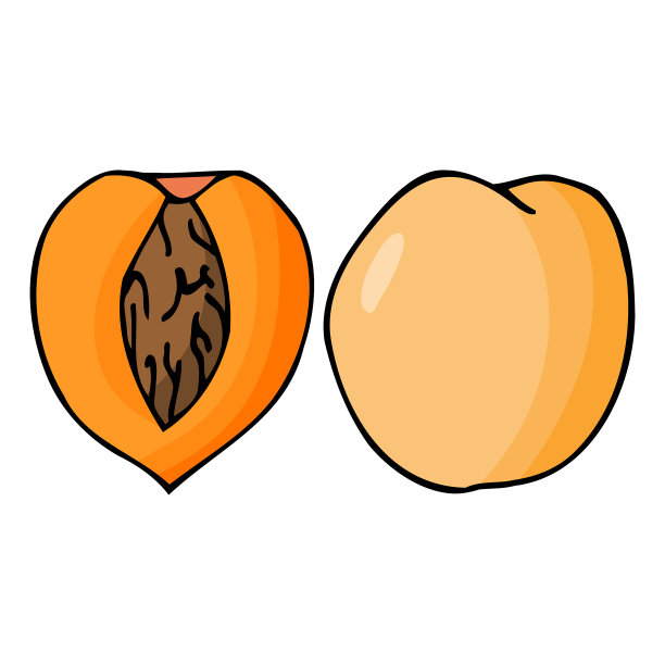 用桃核手绘轮廓涂鸦图标图片下载