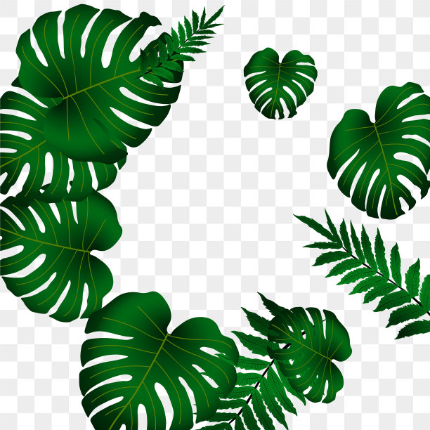 热带模式图片下载