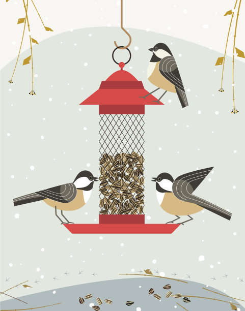 鸟美联储图标图片下载