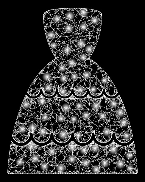 明亮的网网新娘服装与亮点图片下载