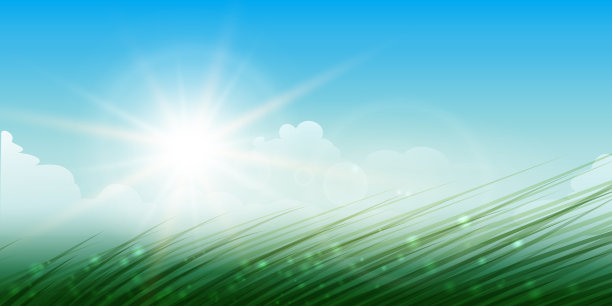 野meddow夏季背景图片下载