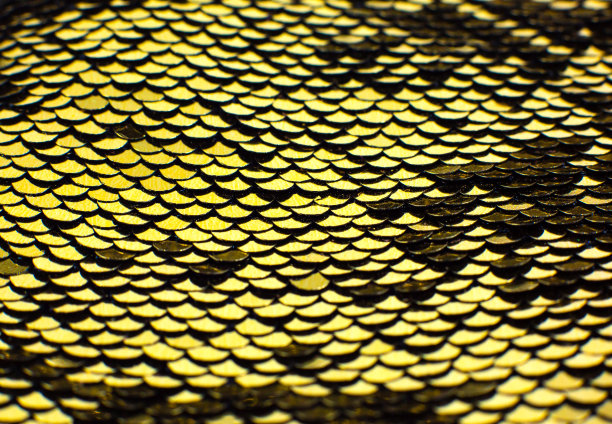 带有圆形亮片的金色纺织品。鳞片闪光布近的照片。复古面料的衣服和包。假日明亮的色彩概念。豪华时尚。图片下载