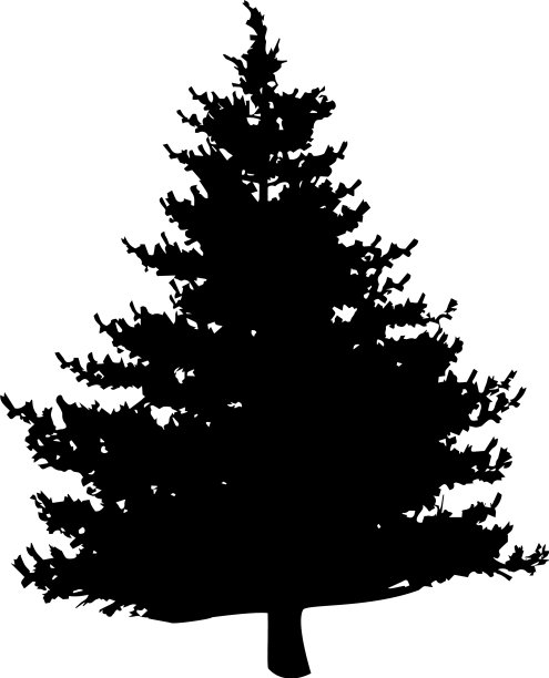 松树轮廓图片下载