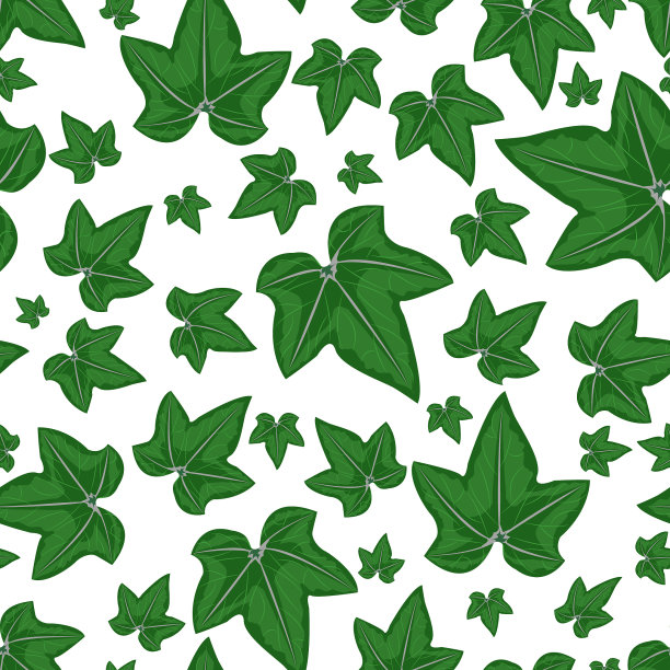 绿色的葡萄叶子在白色的背景上无缝衔接图片下载