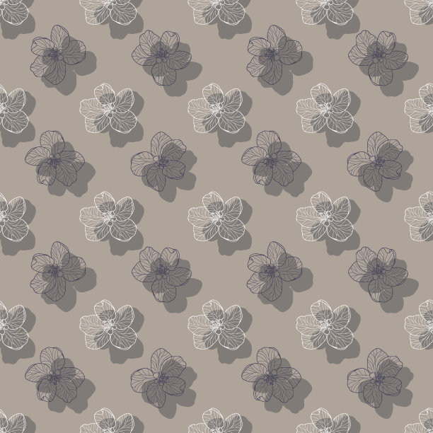 手绘白色苹果花在中性背景与投射阴影。图片下载