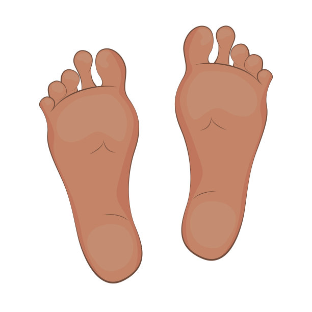 矢量插图的一个女人的脚。图片下载