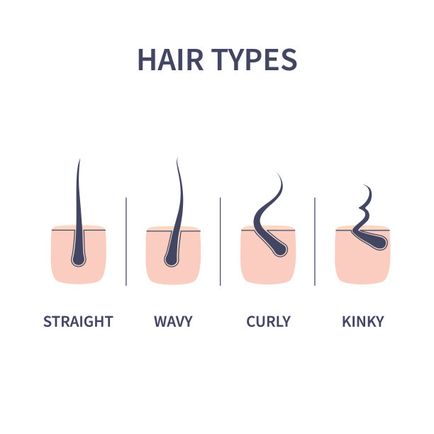头发类型图表，直发，波浪，卷曲和卷曲的头发图片下载