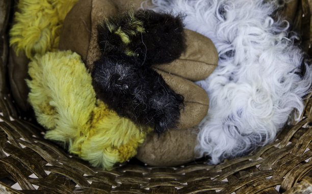 旧鞋爱斯基摩动物毛皮图片下载