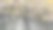 只吃突然出现的东西的猴子图片下载