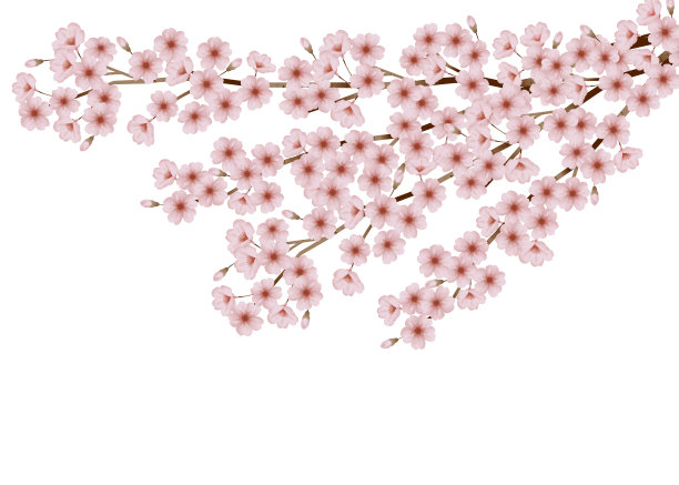 樱花观赏插图。日本的春节。图片下载