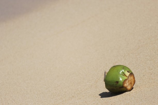 一个椰子和白色的沙滩图片下载