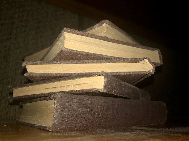 永恒的知识图片下载