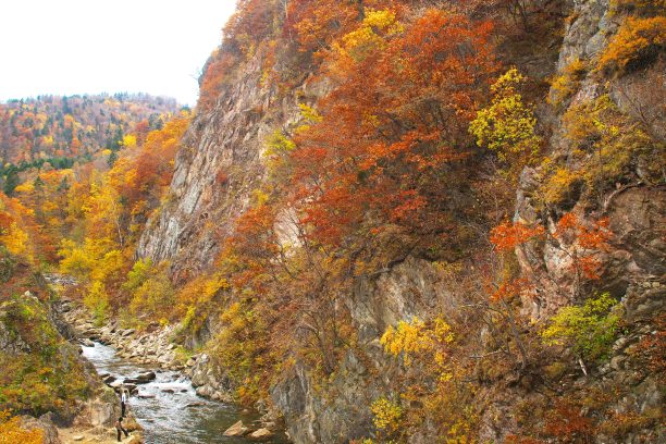 中产温泉和双美悬索桥在深秋图片下载