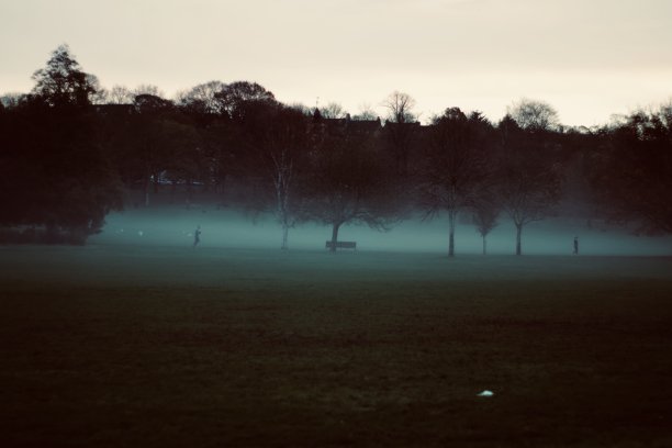 在一个有雾的早晨，日出时的公园图片下载