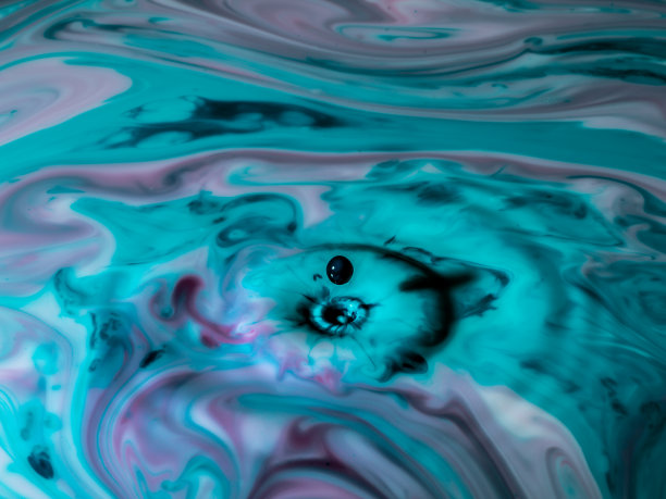 有光泽的水滴，迷幻的，彩色的，牛奶，油漆，2020年，图片下载