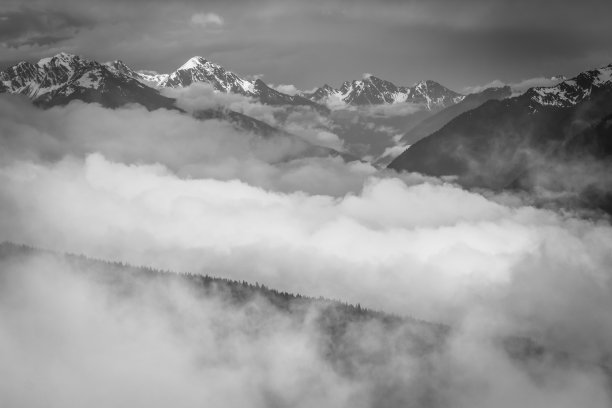 从华盛顿奥林匹克公园的飓风脊看雪山和低云。图片下载