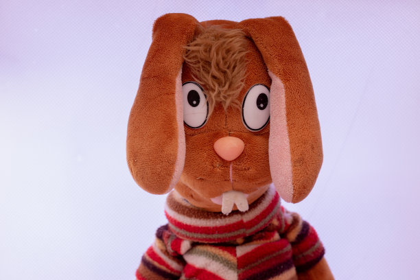 玩具兔子在一个白色的背景近距离图片下载