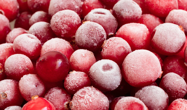 冰冻红莓背景。越橘与白霜特写。图片下载