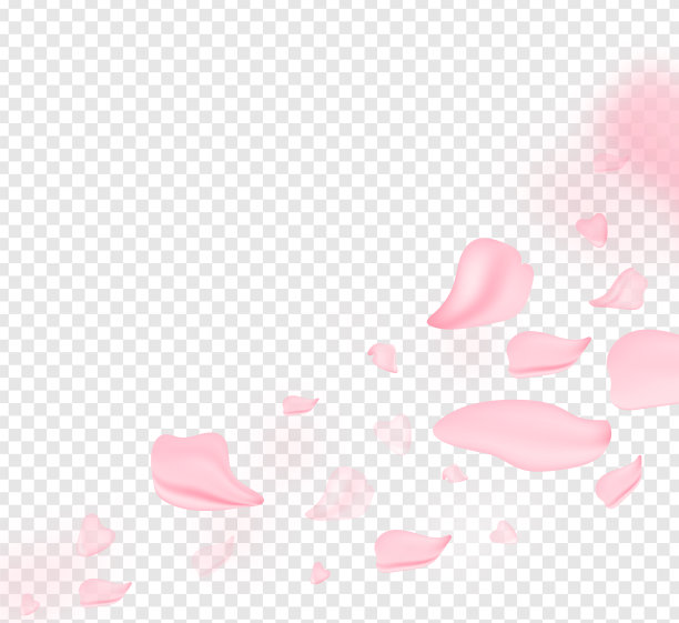 花瓣下跌。4月自然花卉。春天的花朵是粉红色的，五月的花朵是粉红色的。为条幅，枝上樱花盛开作背景。梦幻浪漫的意象、景观、复制空间。图片下载