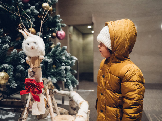 一个小男孩在圣诞装饰品中看着。图片下载