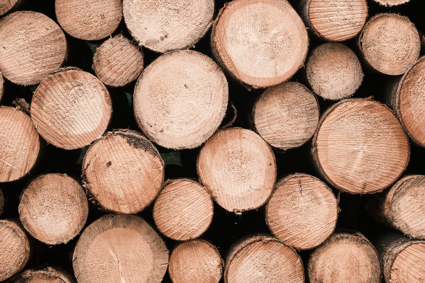 原木堆的背景。圆形木制结构。新鲜砍伐的原木，用于冬季生产或加工。图片下载