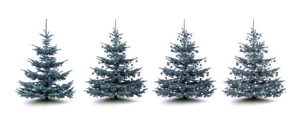 用圣诞小饰物装饰的银杉图片下载