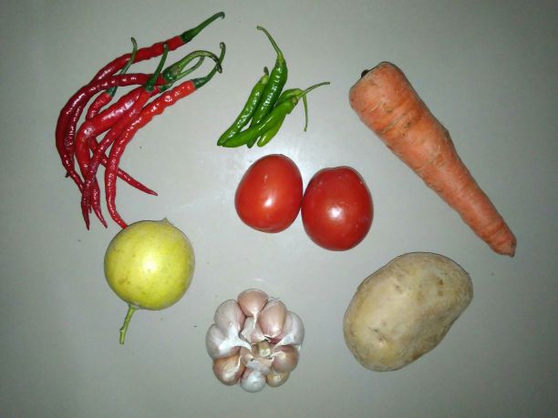 水果和草药的形象图片下载