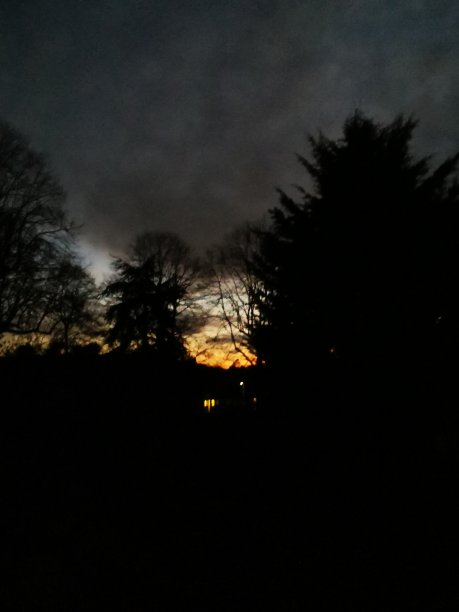 夕阳穿过树与蓝色和金色的天空图片下载