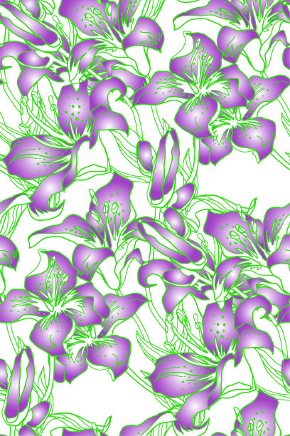 春天柔和的色彩剪影，嫩芽和嫩叶的百合花。图片下载