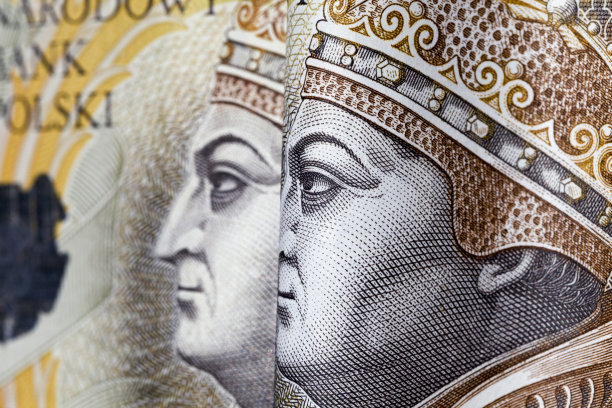 真正的波兰兹罗提图片下载