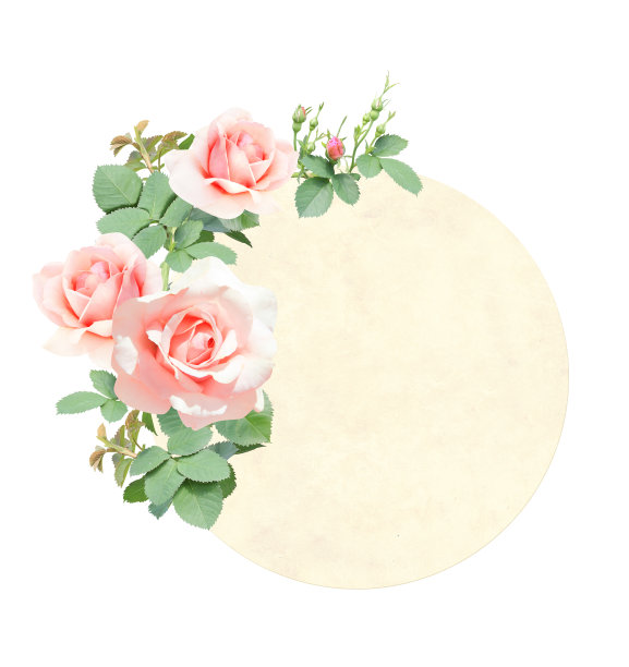 带有粉红色花的蔷薇枝的复古卡片图片下载