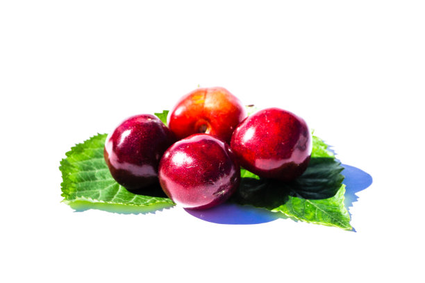 樱桃孤立在白色背景图片下载