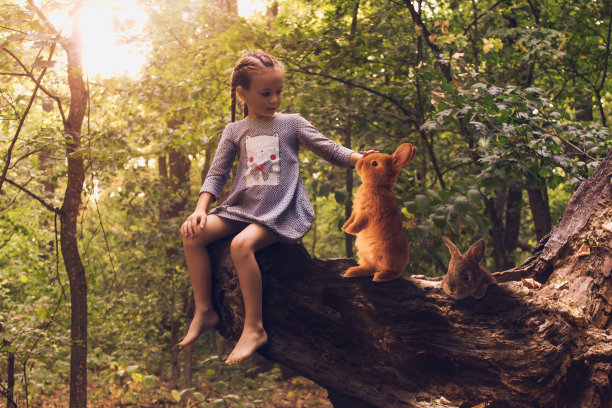 一个孩子坐在树上图片下载