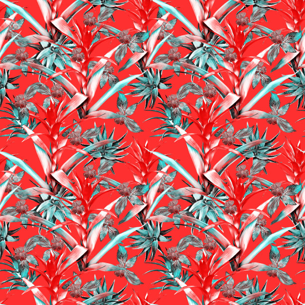 古兹曼花与芦荟和热带植物无缝图案。图片下载